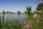 Zienswijze Milieufederatie Ontwerp Stroomgebiedbeheerplan Maas