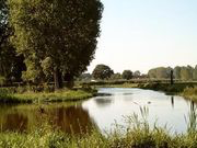 Controle op kwaliteit natuurcompensatie provincie Limburg onvoldoende 