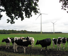 NMF Limburg presenteer windmolenvisie