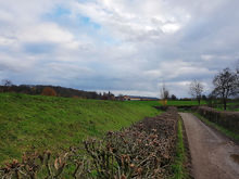 Geef natuur een volwaardige plaats in coalitieakkoord