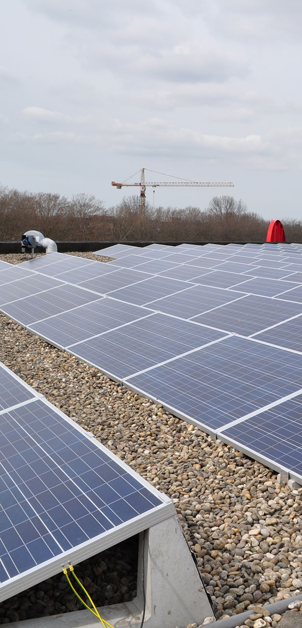 Natuur en Milieufederatie Limburg neemt deel aan Participatiecoalitie Limburg
