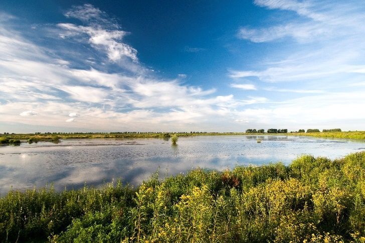 Word Klimaatbuffer ambassadeur in Limburg