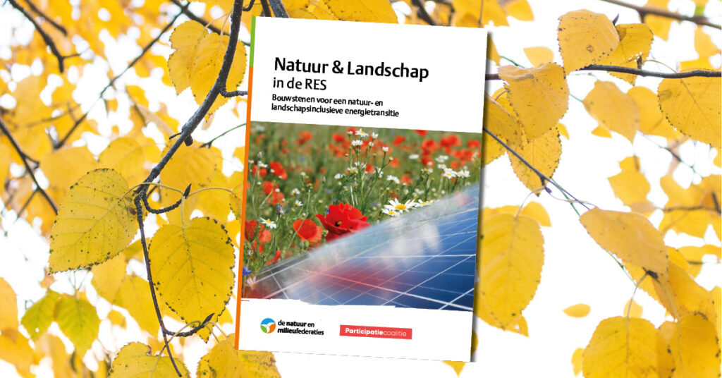 Natuur & landschap in de RES: bouwstenen voor een natuur- en landschapsinclusieve energietransitie