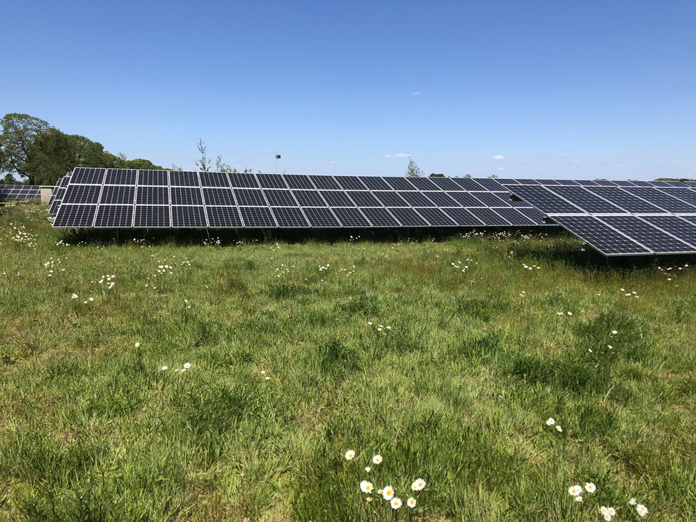 Zonneveld met natuur