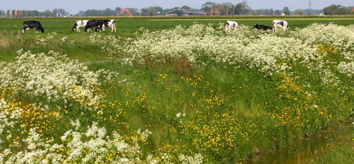 Industrieterrein De Spurkt voorlopig van de baan