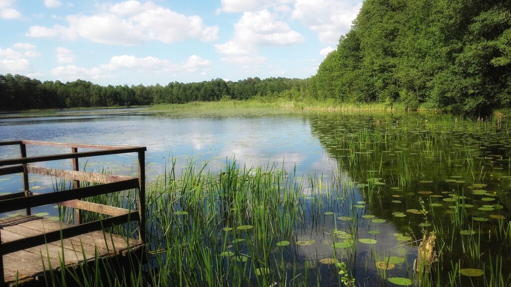 Helder schoon water meer