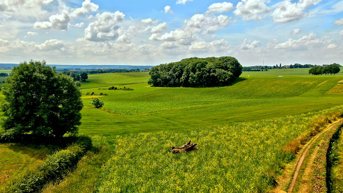 Succesvol pleidooi voor Landschapsprogramma in Omgevingsvisie