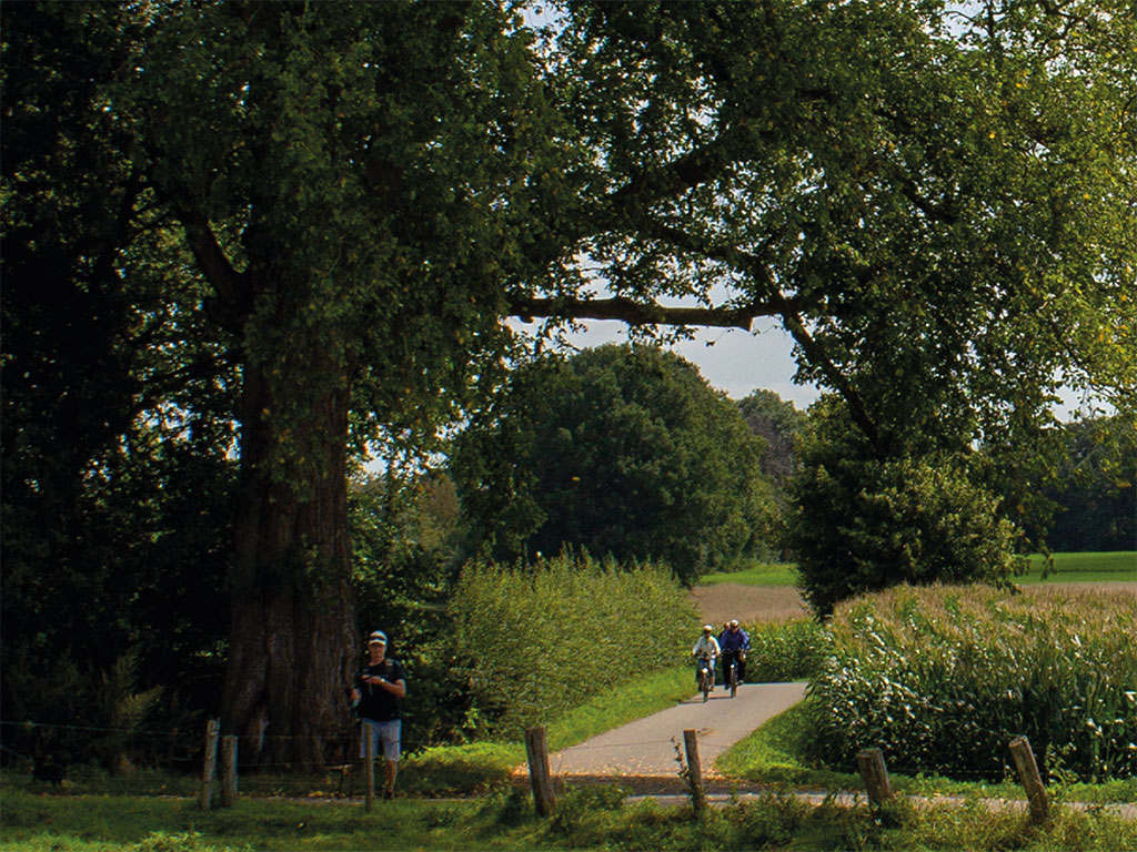 Expositie: Door de bomen het bos zien