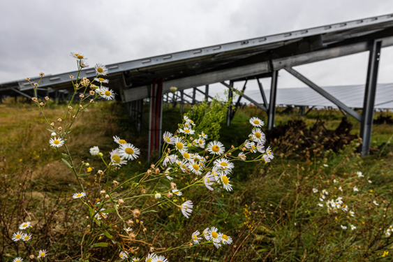 Training Energieboswachter; iets voor jou?