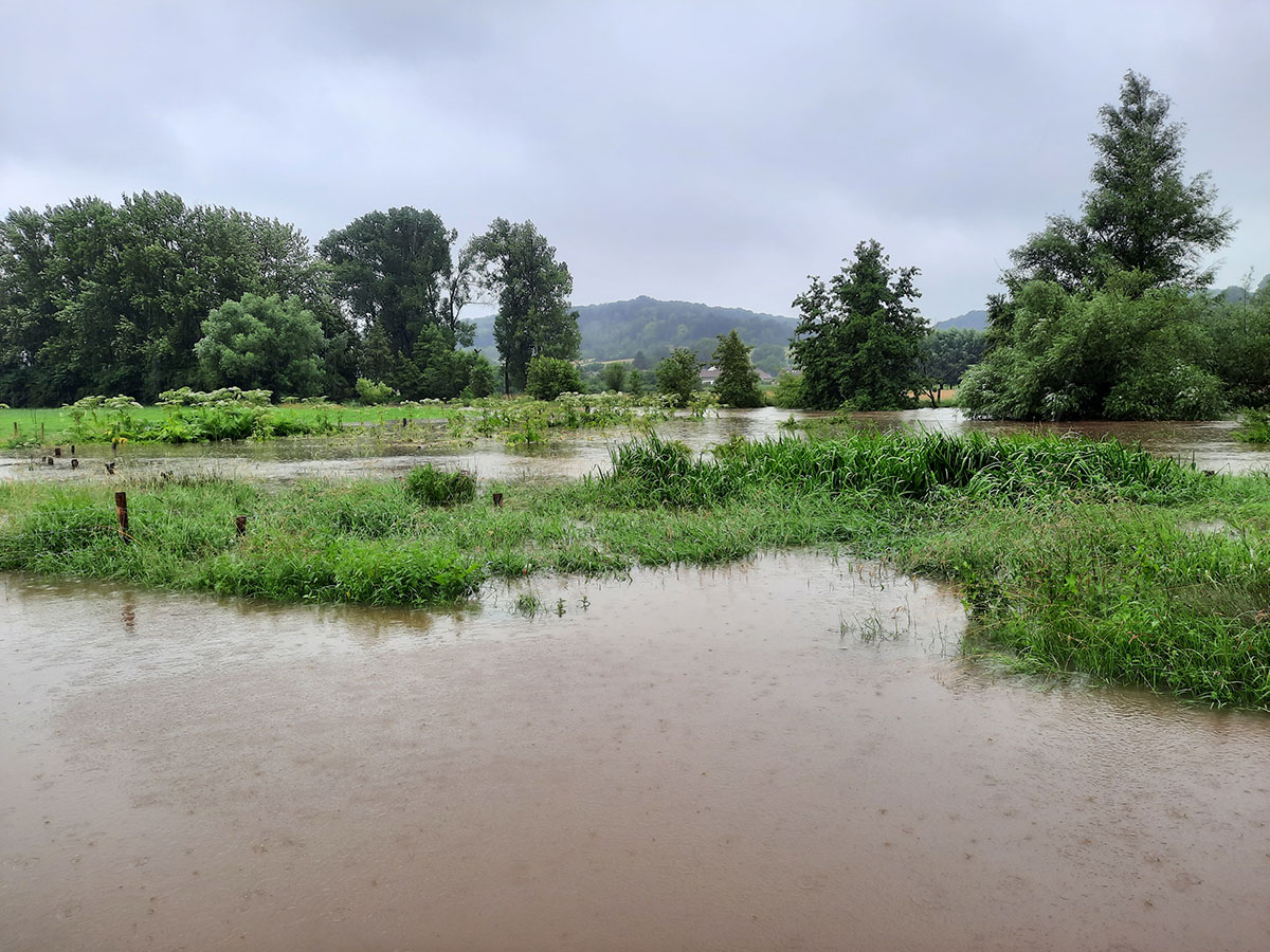 Postcode Loterij schenkt 2 miljoen euro voor hoogwaterambassadeurs en natuurlijke oplossingen in het Geul- en Gulpdal