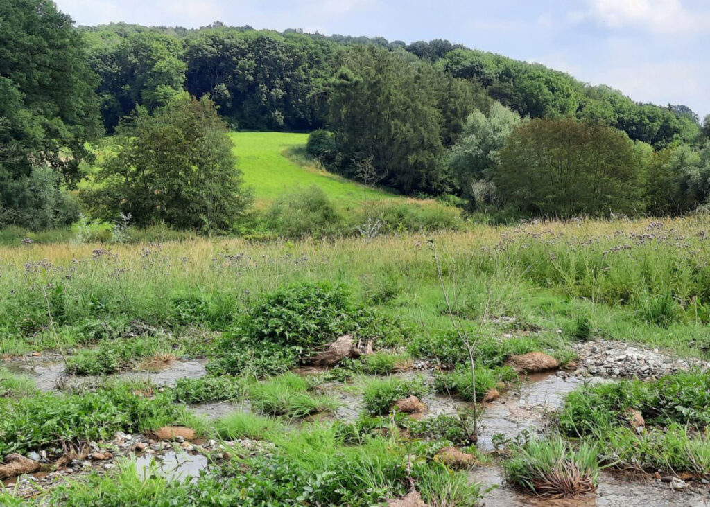 Water, Milieu en Landbouw