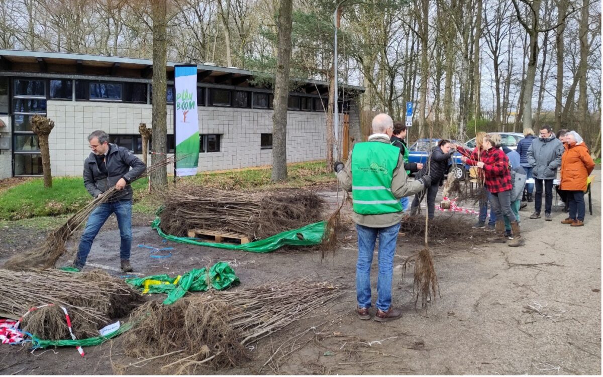 Uitdeelacties boompjes in Brunssum en Weert