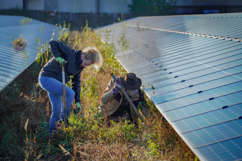 Circulariteit en energie