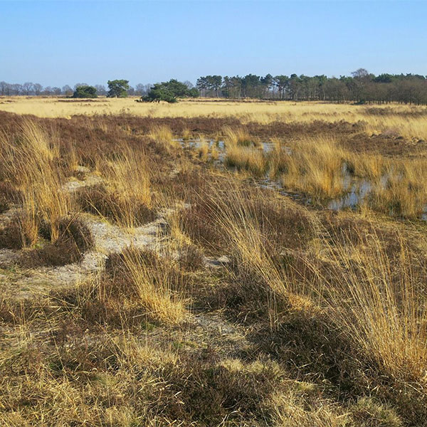 Samenwerking met Advocaat van de Aarde