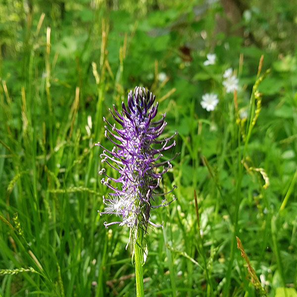 Natuur en Landschap