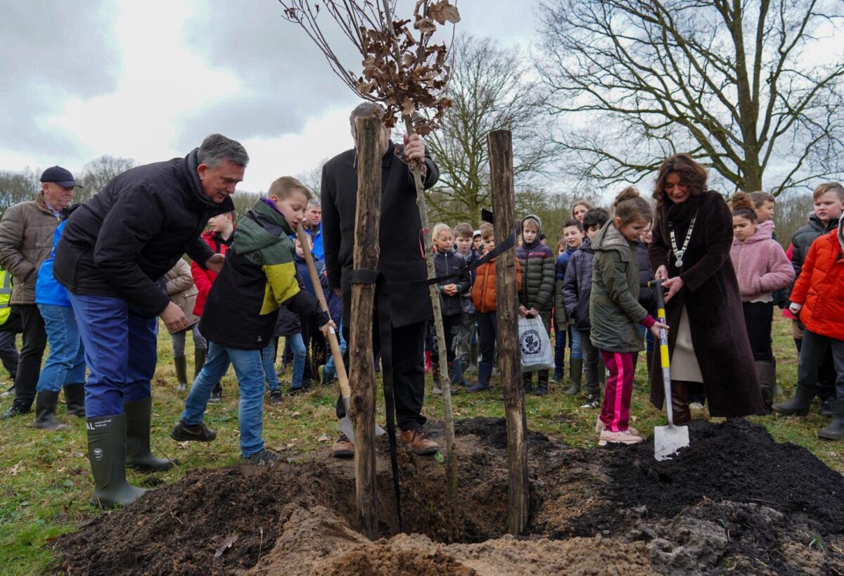 Groene Bondgenoten: Samen voor een Groenere Toekomst