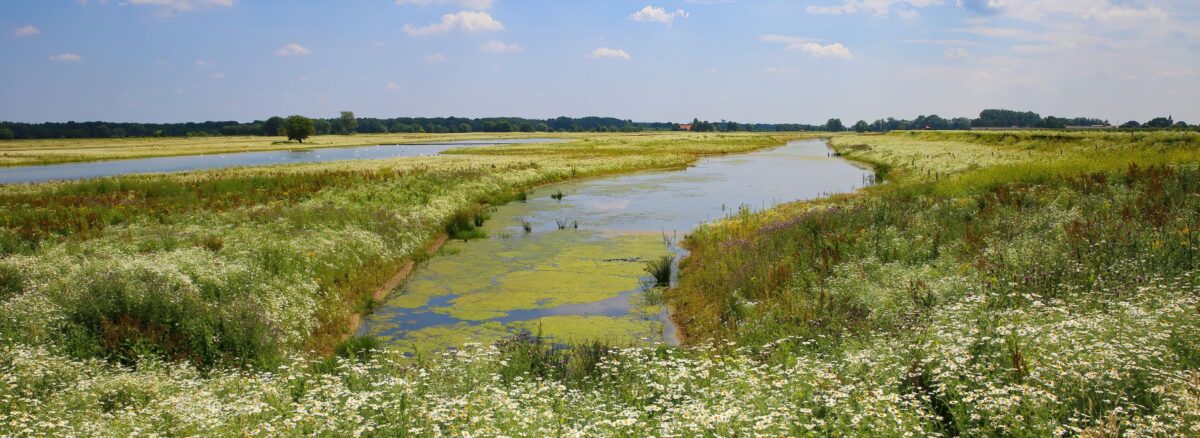NMFLimburg ondertekent mede verzoekschrift tot intrekking lozingsvergunning Chemelot