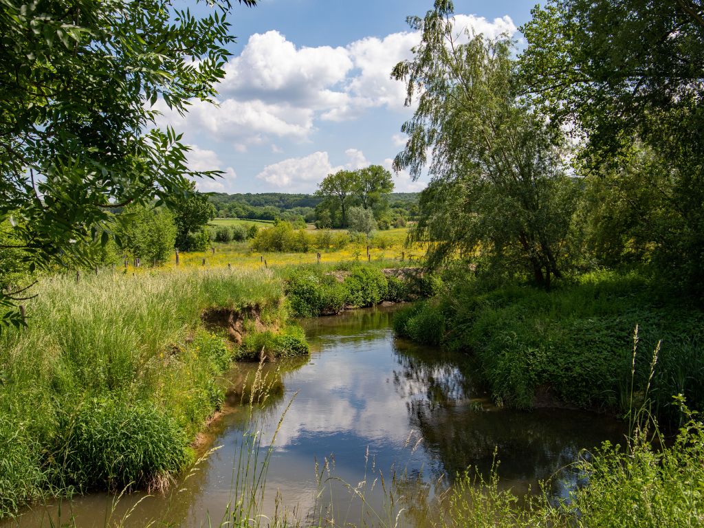 Haalbaarheid ecologische doelen Europees beschermde beken in Limburg