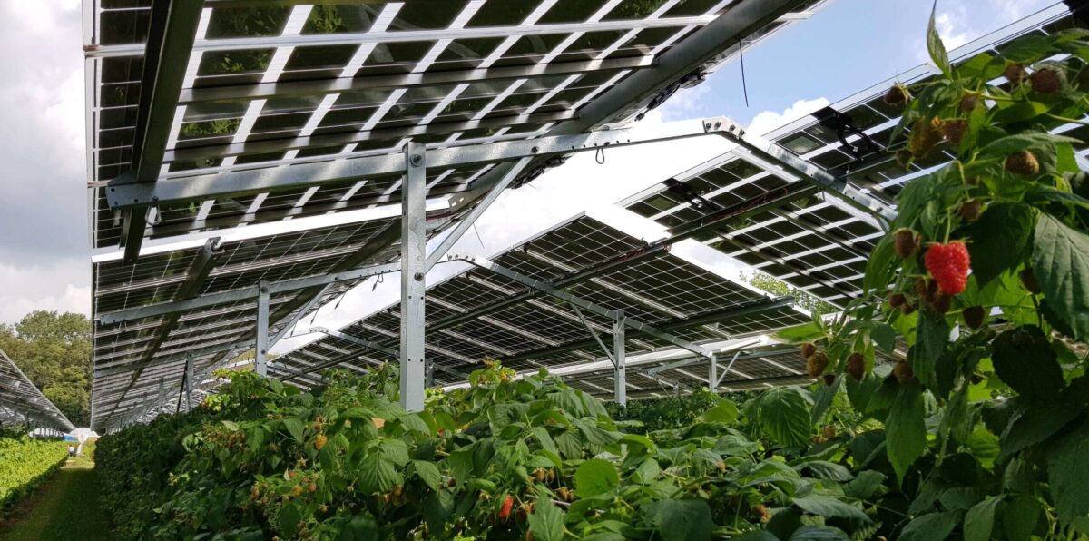 ‘Van droom naar daad’: nieuwe kennisserie om natuur en duurzame energieopwekking slim te combineren