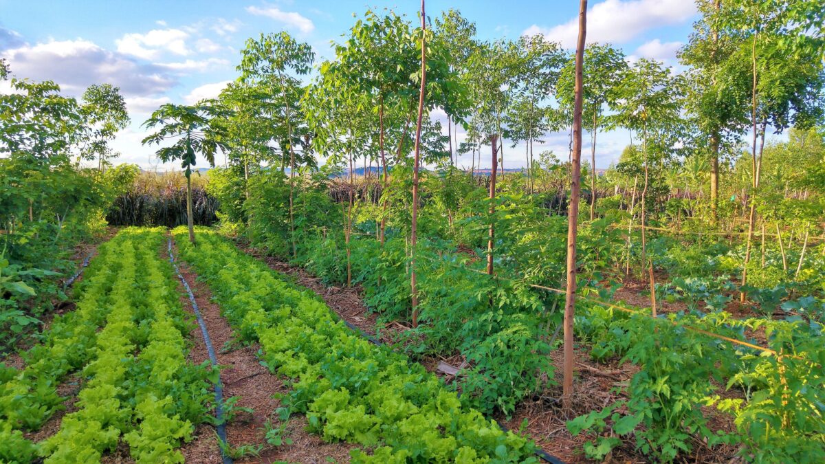 IPBES-rapport biedt inspiratie