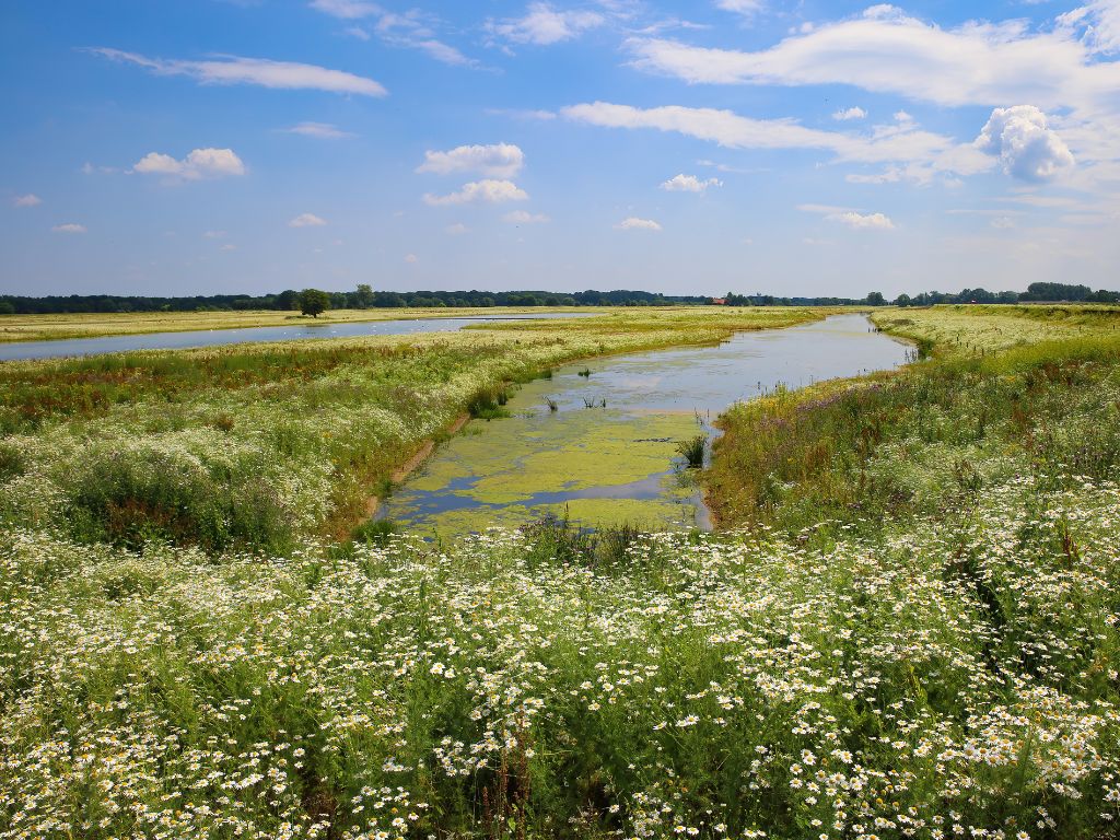 Vacature Adviseur Water