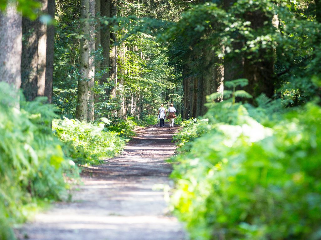 Natuurbescherming door grondaankoop