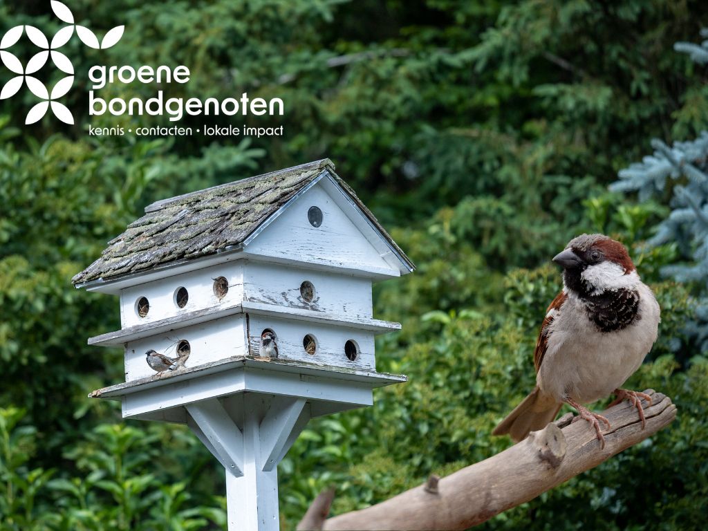 Kom je ook naar het BuurtBooster Festival & Fondsenplein in Roermond op 19 maart
