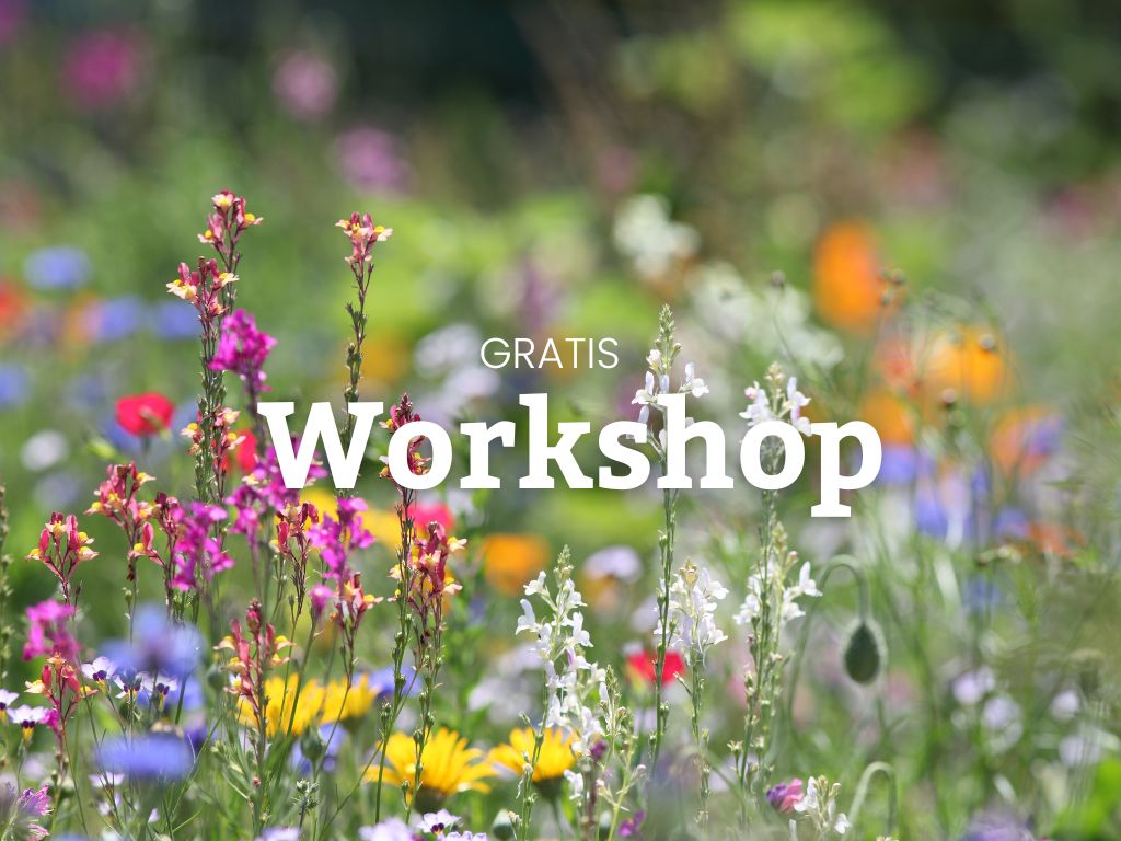 Spot de zoemers in jouw buurt! Gratis Zoem Zone Workshop op 1 augustus