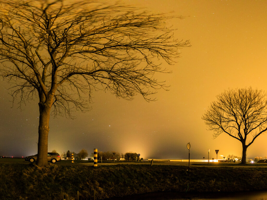 6 op de 10 Nederlanders wil het donker terug: lichtvervuiling verstoort nachtdieren en onze gezondheid