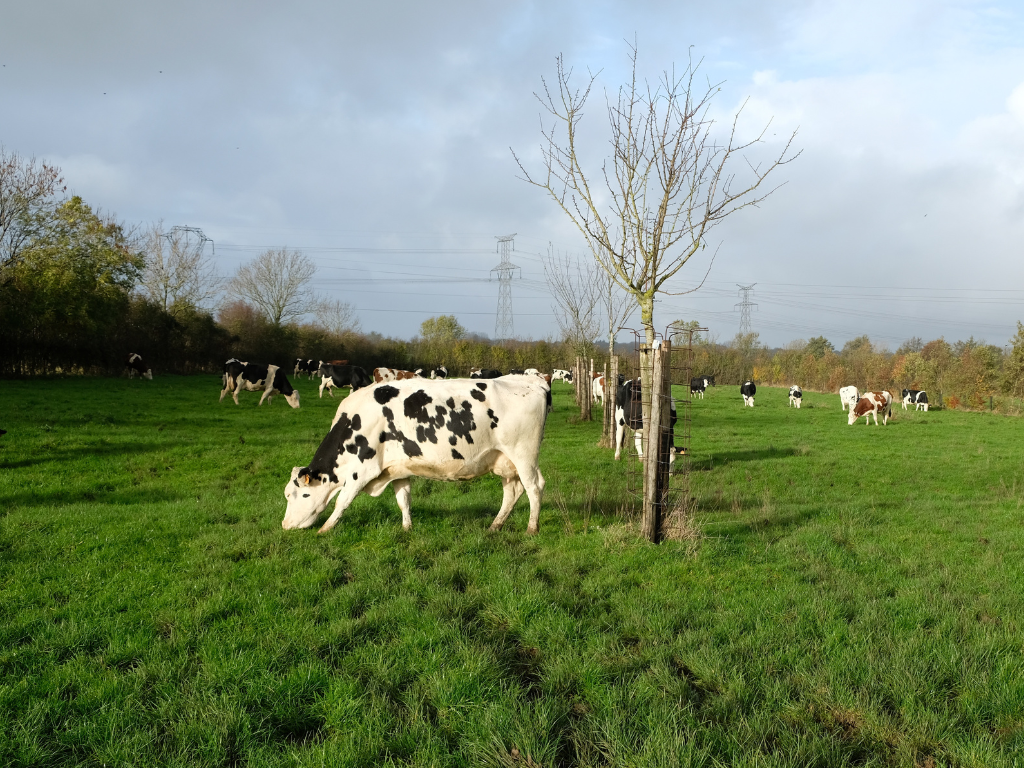 Lichter werken, slimmer telen? Kom naar de CSA Netwerk Conferentie 2025