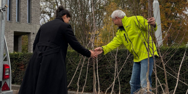 600 gratis fruitbomen voor inwoners van de gemeente Stein