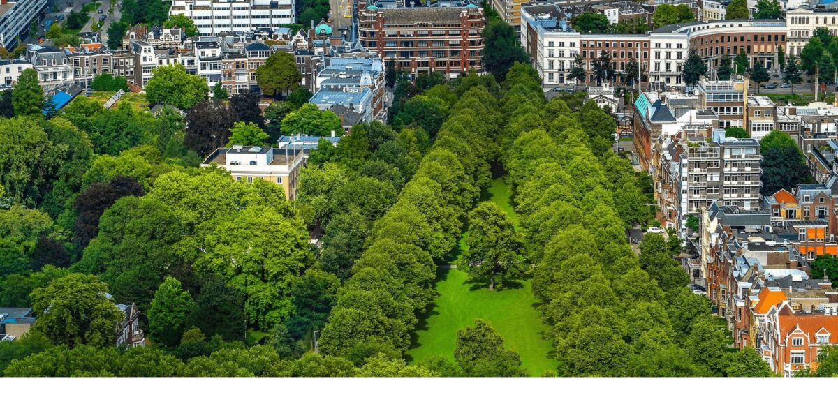 Online lobbytraining gemeenteraadsverkiezingen voor aangesloten organisaties