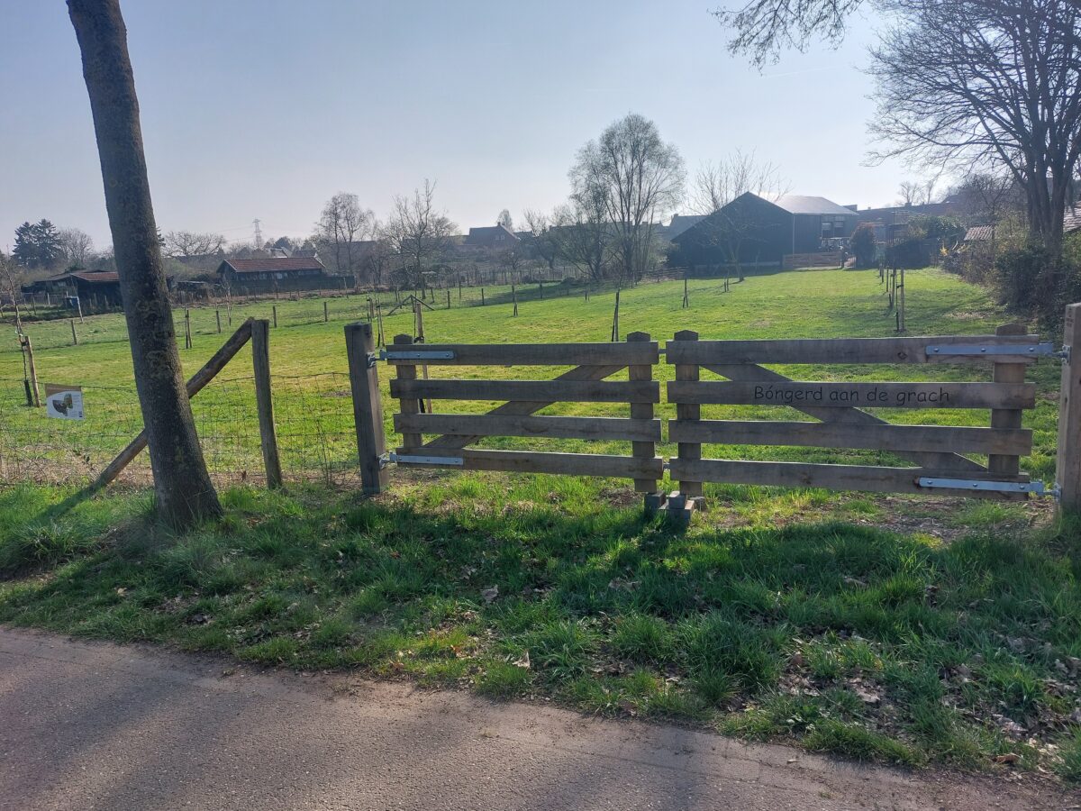 Groene oases en landschappelijke betrokkenheid door aanplantregelingen gemeenten