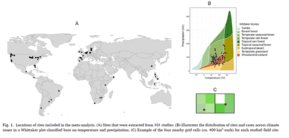 Gewasdiversiteit loont: nieuw onderzoek onderbouwt belang van variatie in het landschap