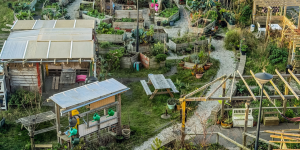 Deel jouw inspirerende, natuurinclusieve praktijkvoorbeeld